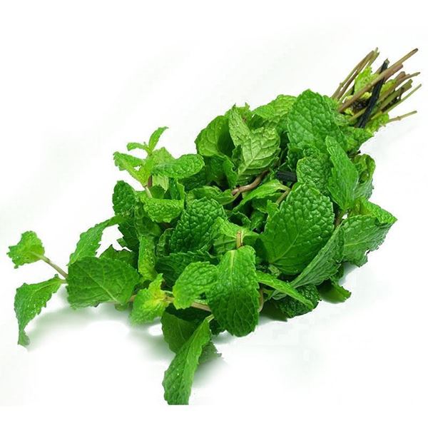 Menthe Fraîche Bouquet – UNITÉ