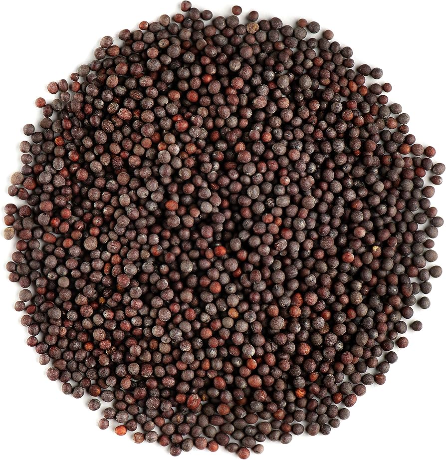 VRAC – Epice Moutarde Noire – 100g