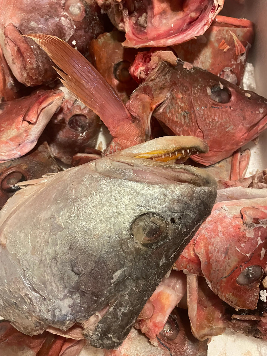 VRAC – Tête De Poisson pour soupes – 500g
