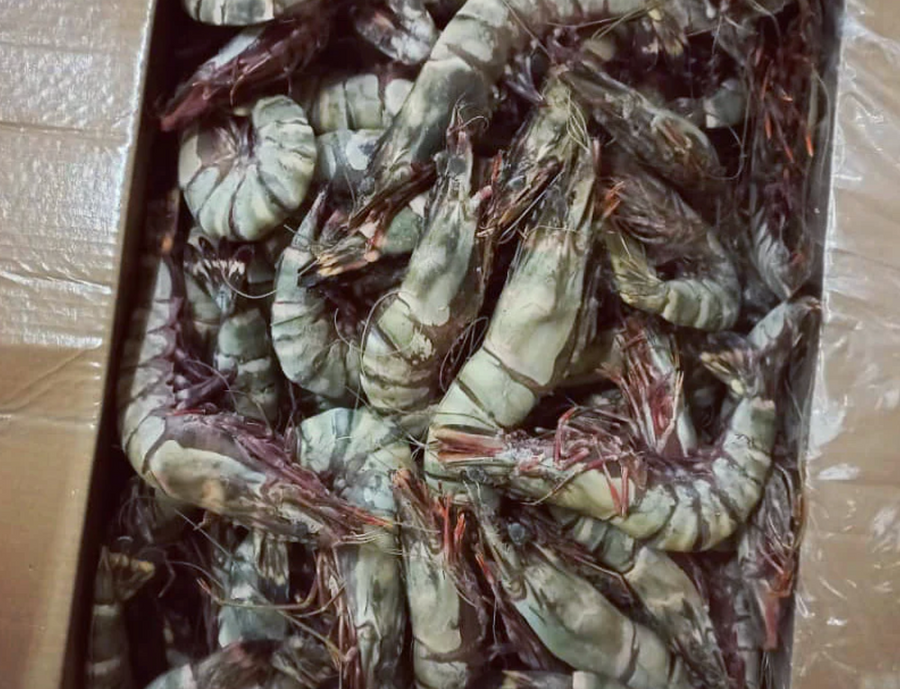 VRAC – Crevettes Géantes Camarones – 250g