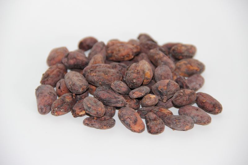 VRAC – Graine De Cacao – 100g