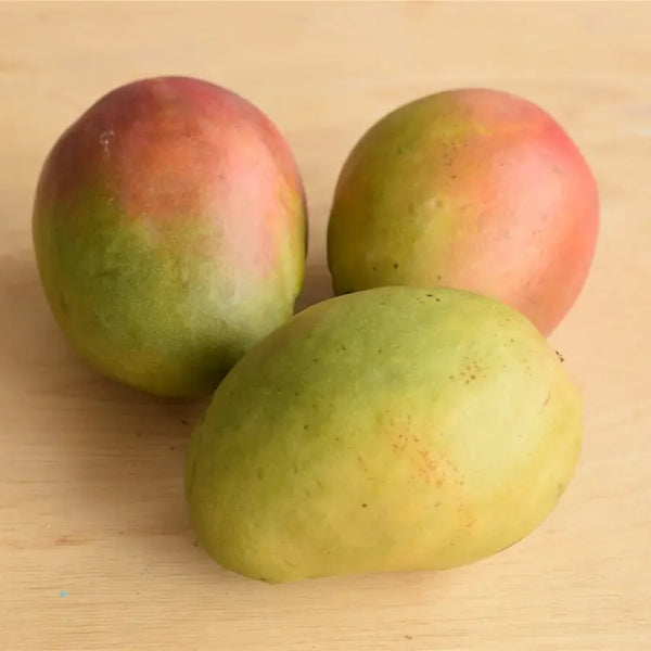VRAC – Fruits Grosses Mangues – 250g