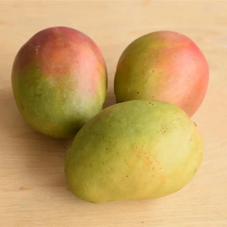 VRAC – Fruits Grosses Mangues – 250g