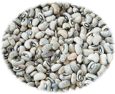 VRAC – Haricot Noir Sénégal – 500g