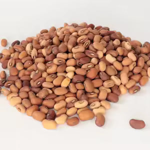 VRAC – Haricot Rouge Sénégal – 500g