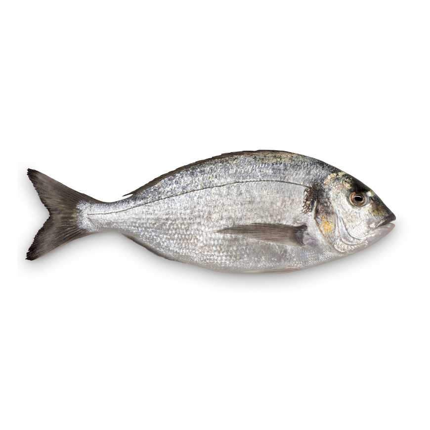 VRAC – Poisson Dorade – 500g