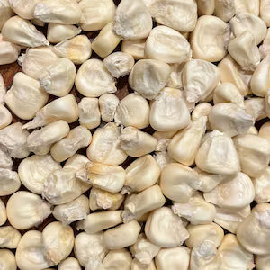 VRAC – Graines De Maïs Séchées – 100g