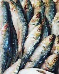 VRAC – Poisson Yaboye – 500g