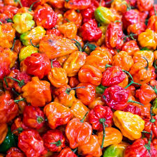 VRAC – Piment Fort Frais – 250g