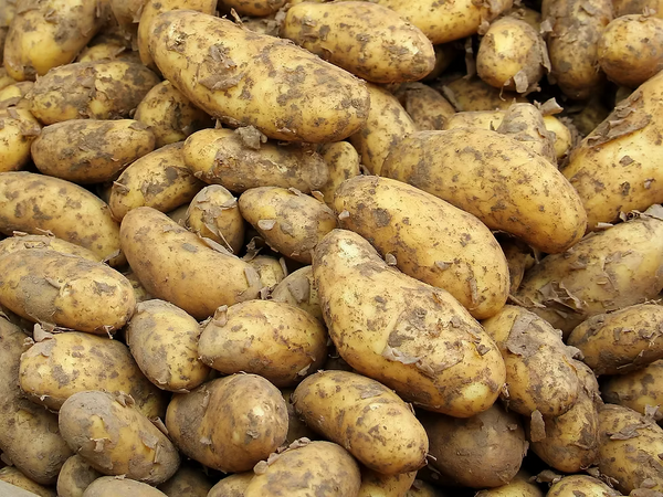 Patate D'afrique – 250g