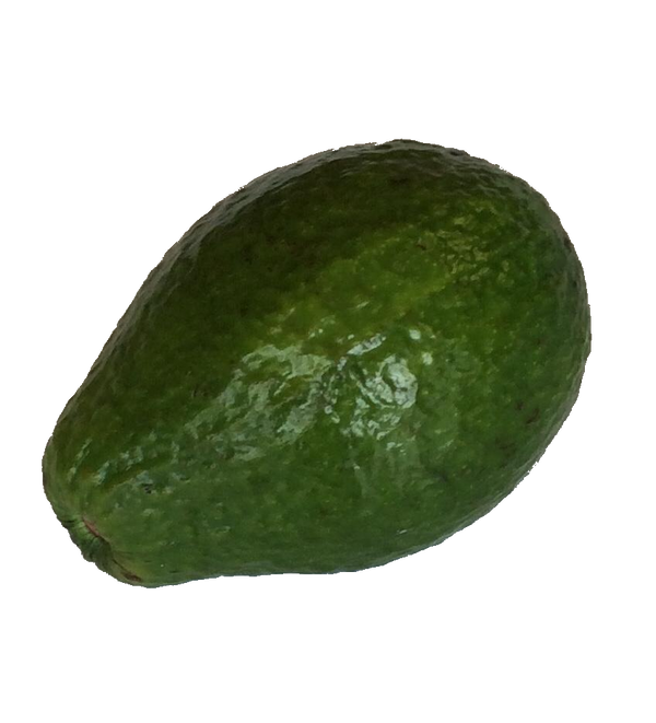 VRAC – Avocat Géant – 250g