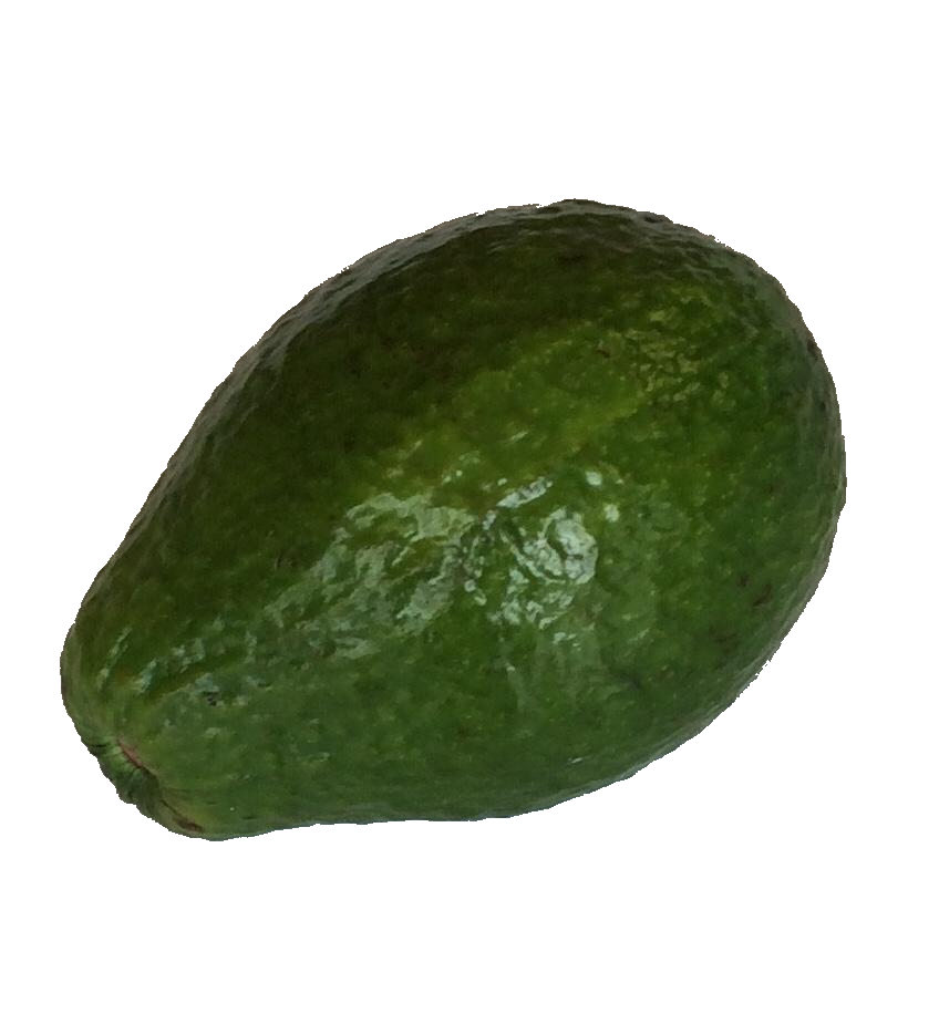VRAC – Avocat Géant – 250g