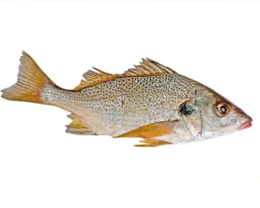VRAC – Poisson Carpe – 500g
