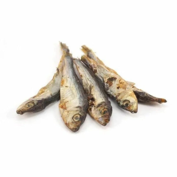 VRAC – Sangala Fish Poisson Séché – 500g