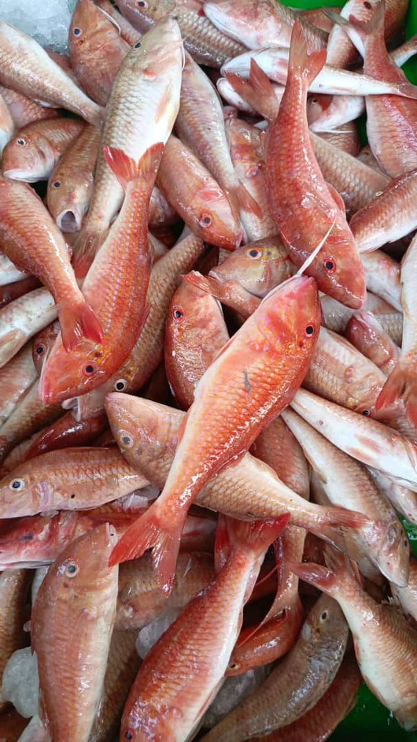 VRAC – Poisson Rouget (Barbet) – 500g