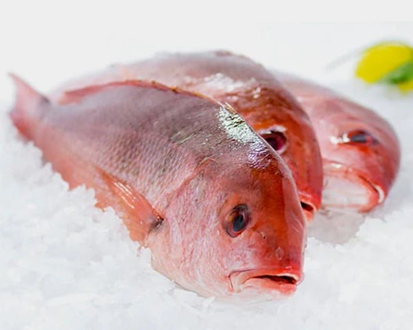 VRAC – Poisson Vivaneau Rouge – 500g