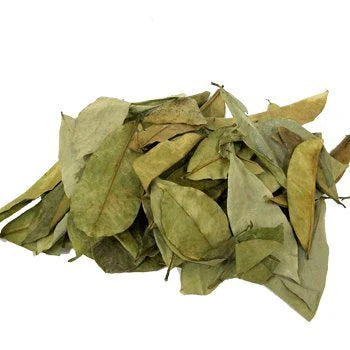 VRAC – Feuille De Corossol – 15g
