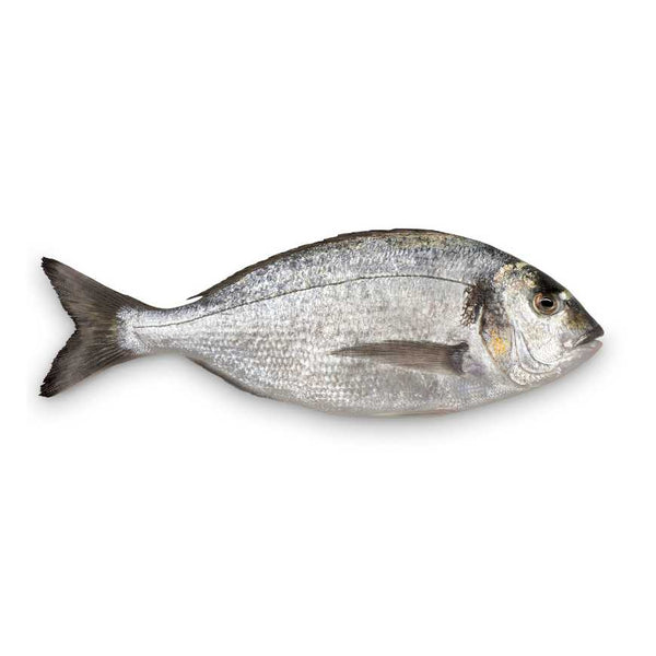 VRAC – Poisson Dorade – 500g