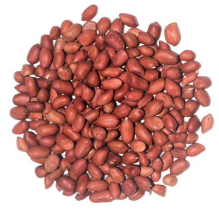 VRAC SAC – Arachides Afrique Sec – 100g