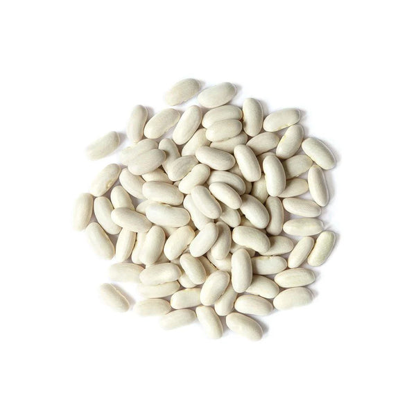VRAC – Haricot Blanc – 500g