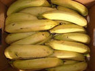 VRAC – Bananes Plantain – 250g