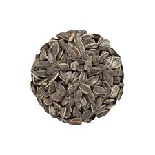 VRAC – Graines Tournesol – 100g