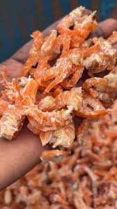 VRAC – Crevettes Sechees Senegal – 500g