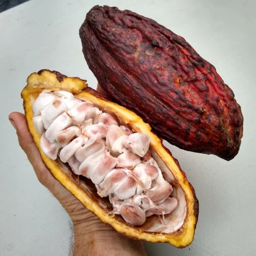 VRAC – Cacao – 1kg