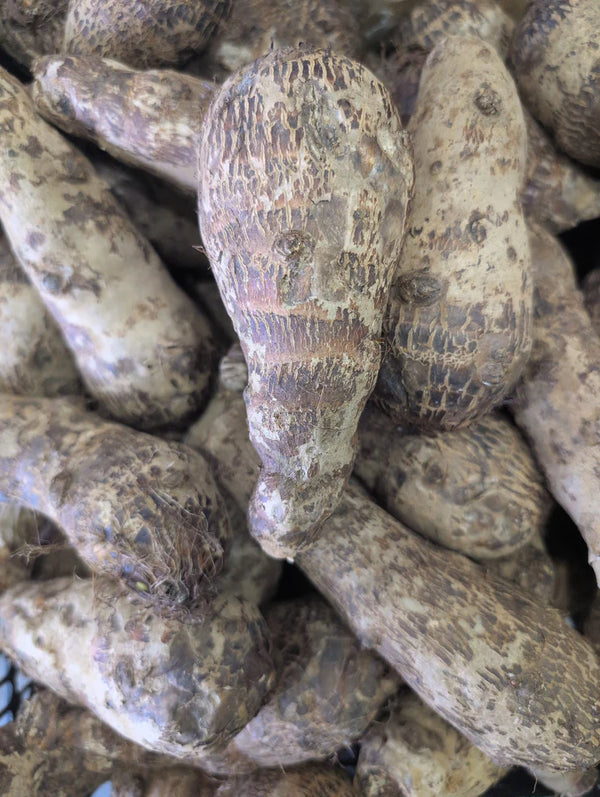 VRAC – Légumes Maccabot (Mankani) Tarot – 250g